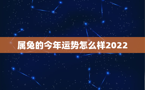 属兔的今年运势怎么样2022，2022年属兔的运势和财运