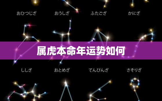 属虎本命年运势如何，属虎本命年运势及运程