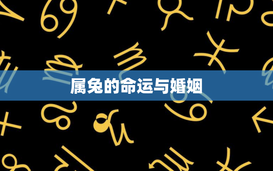 属兔的命运与婚姻，属兔的命运与婚姻如何