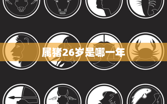 属猪26岁是哪一年，属猪分别是今年多少岁