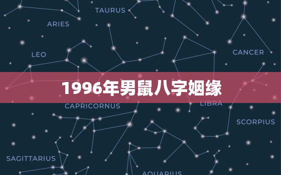 1996年男鼠八字姻缘，1996年属鼠男孩的婚姻