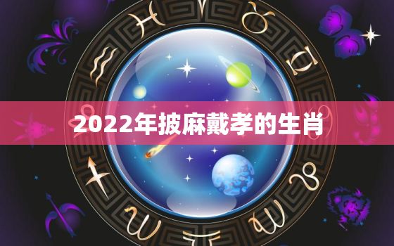 2022年披麻戴孝的生肖，2021年属兔人披麻戴孝吗