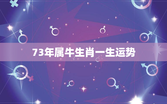 73年属牛生肖一生运势，73年属牛今天财运