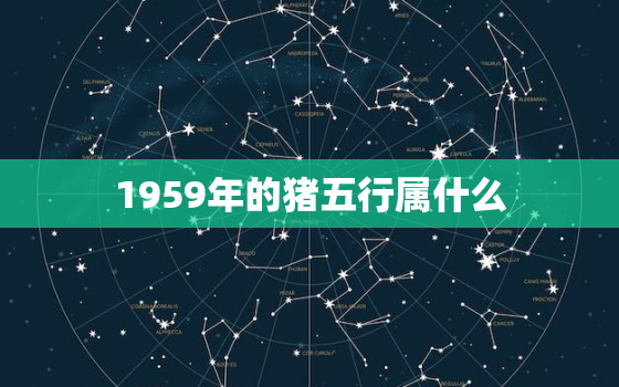 1959年的猪五行属什么，1959年五行属什么