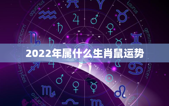 2022年属什么生肖鼠运势，72年生肖鼠50岁后命运