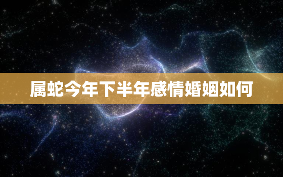 属蛇今年下半年感情婚姻如何，属蛇今年的婚姻