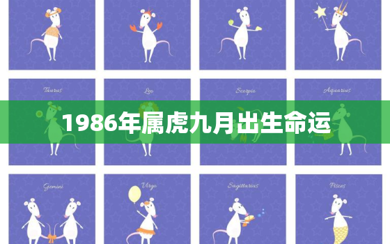 1986年属虎九月出生命运，1986年属虎十月出生什么命