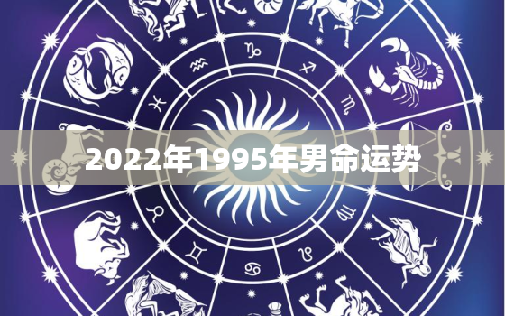 2022年1995年男命运势，1995年生人2020年运势