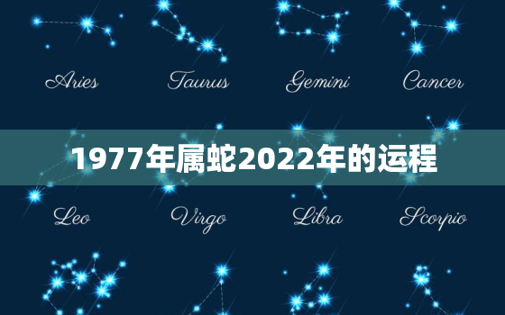 1977年属蛇2022年的运程，2022年属蛇人的全年运势