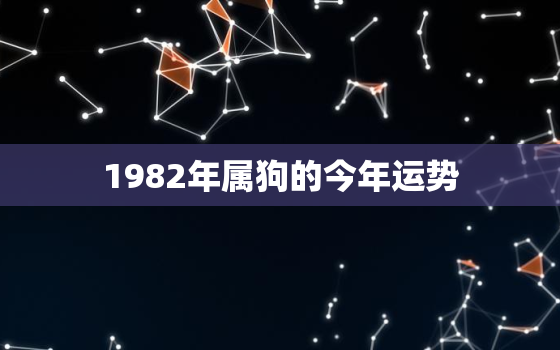 1982年属狗的今年运势，1982年属狗财运