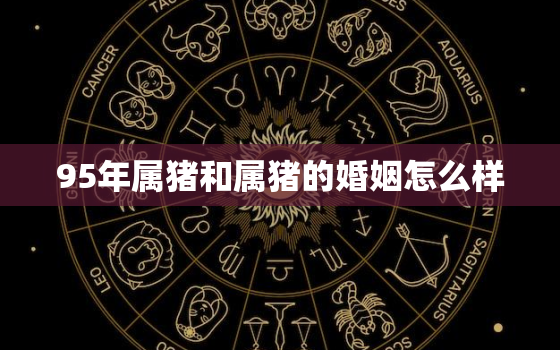 95年属猪和属猪的婚姻怎么样，95年属猪的命运婚姻怎么样