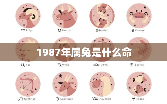 1987年属兔是什么命，1987年属兔是什么命男婚姻