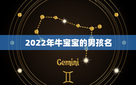 2022年牛宝宝的男孩名，2021牛宝宝名字大全男