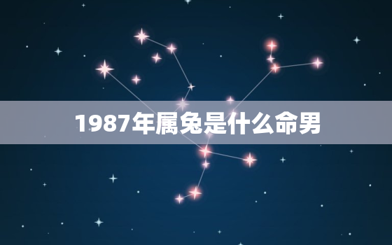 1987年属兔是什么命男，1987年属兔是什么命男2019