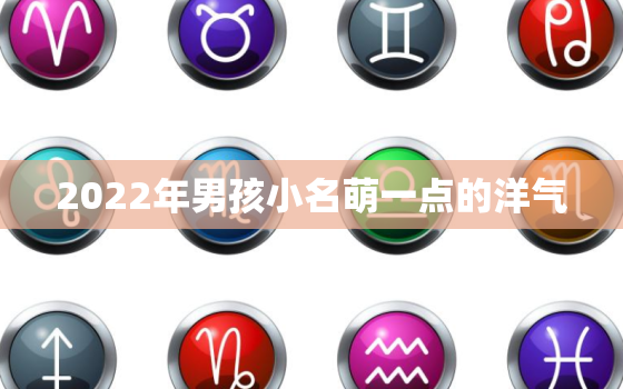 2022年男孩小名萌一点的洋气，男孩的小名大全洋气2020