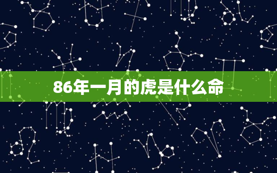 86年一月的虎是什么命，86年的虎是什么命相