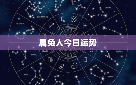 属兔人今日运势，生肖属兔人今日运势