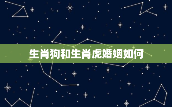 生肖狗和生肖虎婚姻如何，生肖狗跟生肖虎相配吗