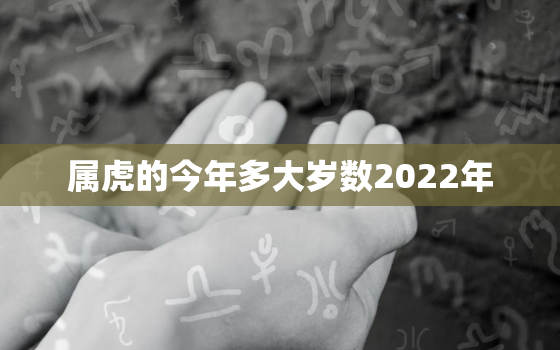 属虎的今年多大岁数2022年，2022年属虎多少岁了