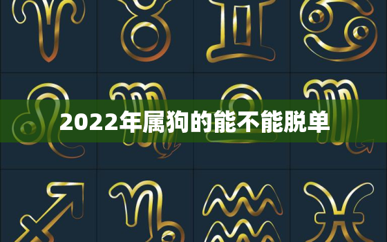 2022年属狗的能不能脱单，属狗2022年财运