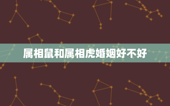 属相鼠和属相虎婚姻好不好，属鼠的和属虎的属相结婚好吗