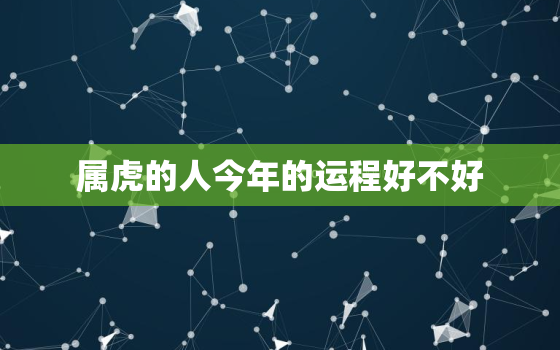 属虎的人今年的运程好不好，属虎的人今年财运怎么样