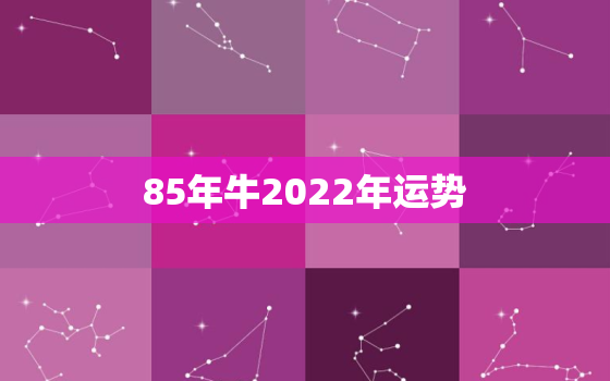 85年牛2022年运势，85年属牛2022年运势及运程每月运程