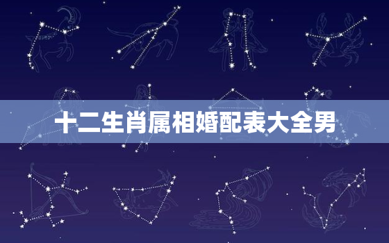 十二生肖属相婚配表大全男，十二属相婚配表生肖婚配属相相克查询