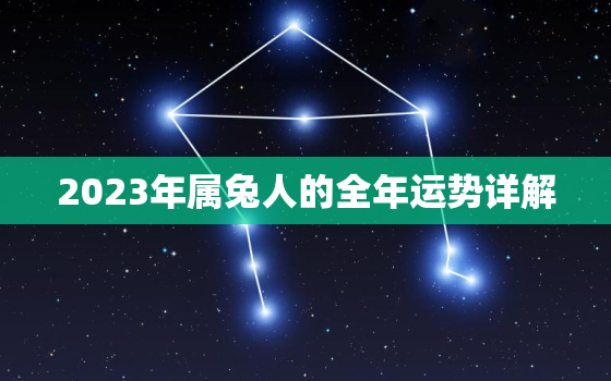 2023年属兔人的全年运势详解，2023年属兔人的全年运势男性