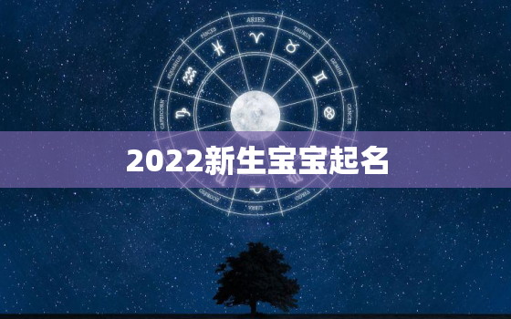 2022新生宝宝起名，2022年出生的宝宝取名字