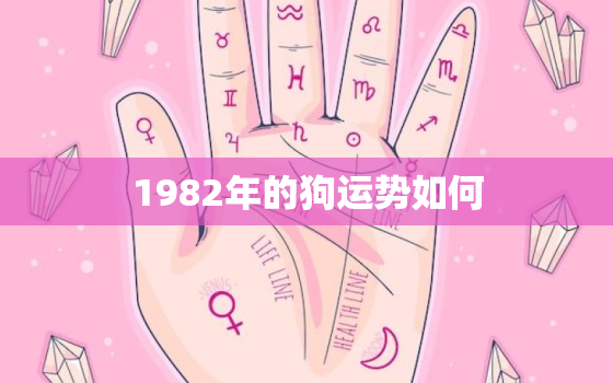 1982年的狗运势如何，1982年的狗今年运势怎么样