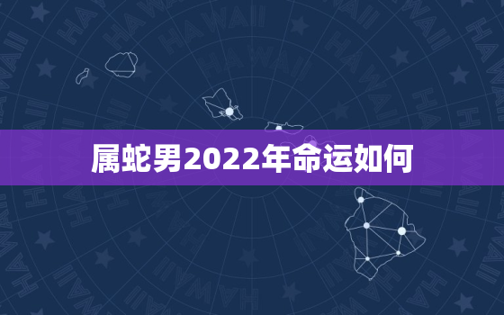 属蛇男2022年命运如何，2022年属蛇人的运势如何