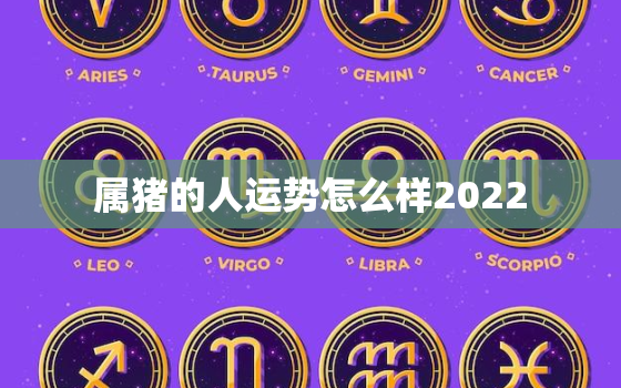 属猪的人运势怎么样2022，属猪的人运势怎么样2021