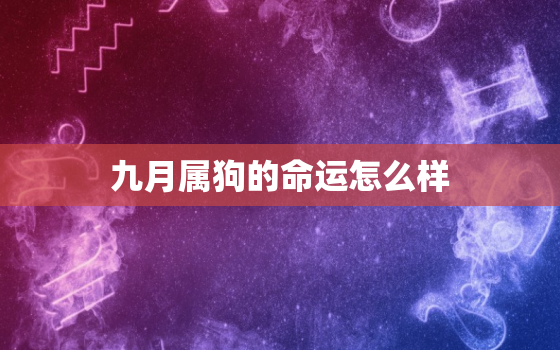 九月属狗的命运怎么样，9月狗命运如何