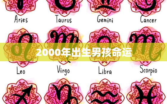 2000年出生男孩命运，2000年出生了多少孩子