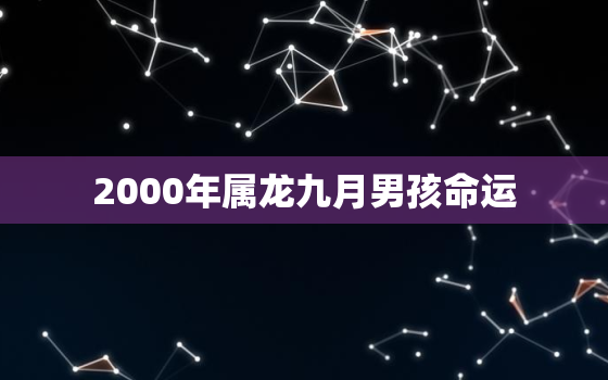 2000年属龙九月男孩命运，2000年九月属龙的是什么命