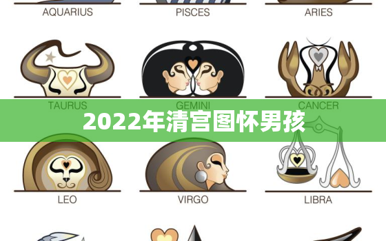 2022年清宫图怀男孩，2020年清宫图正版怀男孩的图片