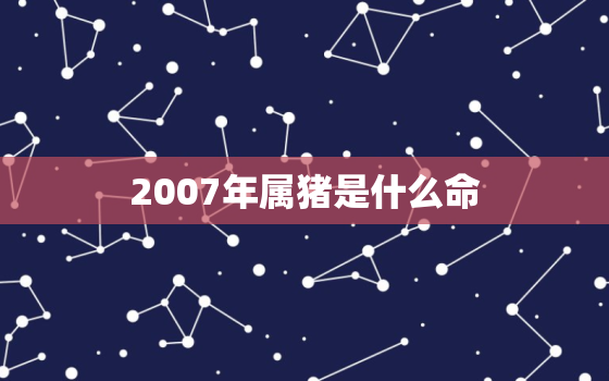 2007年属猪是什么命，2007年属猪是什么命五行属什么