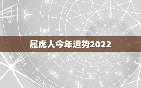 属虎人今年运势2022，属虎人今年运势2019