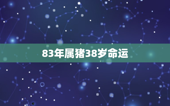 83年属猪38岁命运，83年生肖猪38岁以后运势