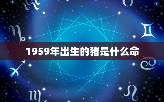 1959年出生的猪是什么命，59年出生的猪是什么命怎么样