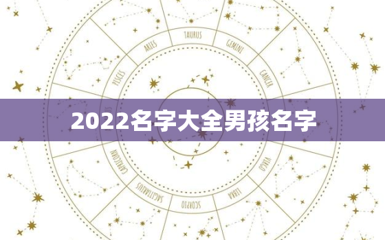 2022名字大全男孩名字，男孩名字大全2021