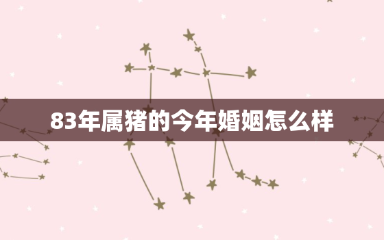 83年属猪的今年婚姻怎么样，属猪83年今年婚姻离婚