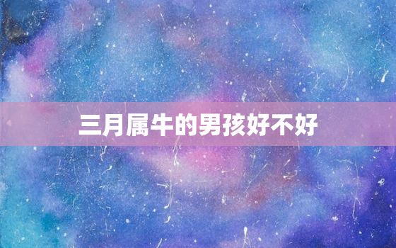 三月属牛的男孩好不好，属牛的3月出生好不好