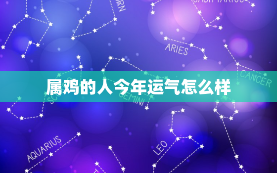 属鸡的人今年运气怎么样，属鸡的人今年运气怎么样93年的