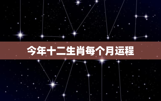 今年十二生肖每个月运程，十二生肖全年运程每月