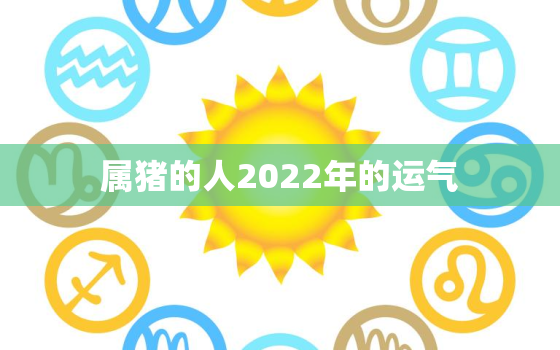 属猪的人2022年的运气，生肖猪在2022年的运势