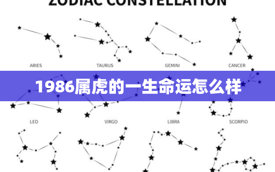 1986属虎的一生命运怎么样，86年属虎人一生运势如何