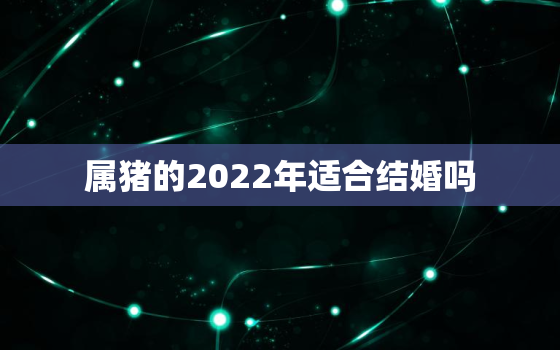 属猪的2022年适合结婚吗，2021年猪适合结婚吗