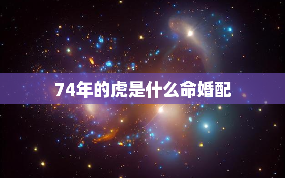 74年的虎是什么命婚配，74年的虎是什么命婚配82年女